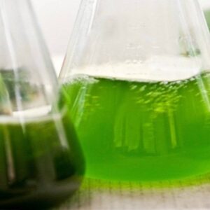 Alternative view of Xăng E5 RON 92